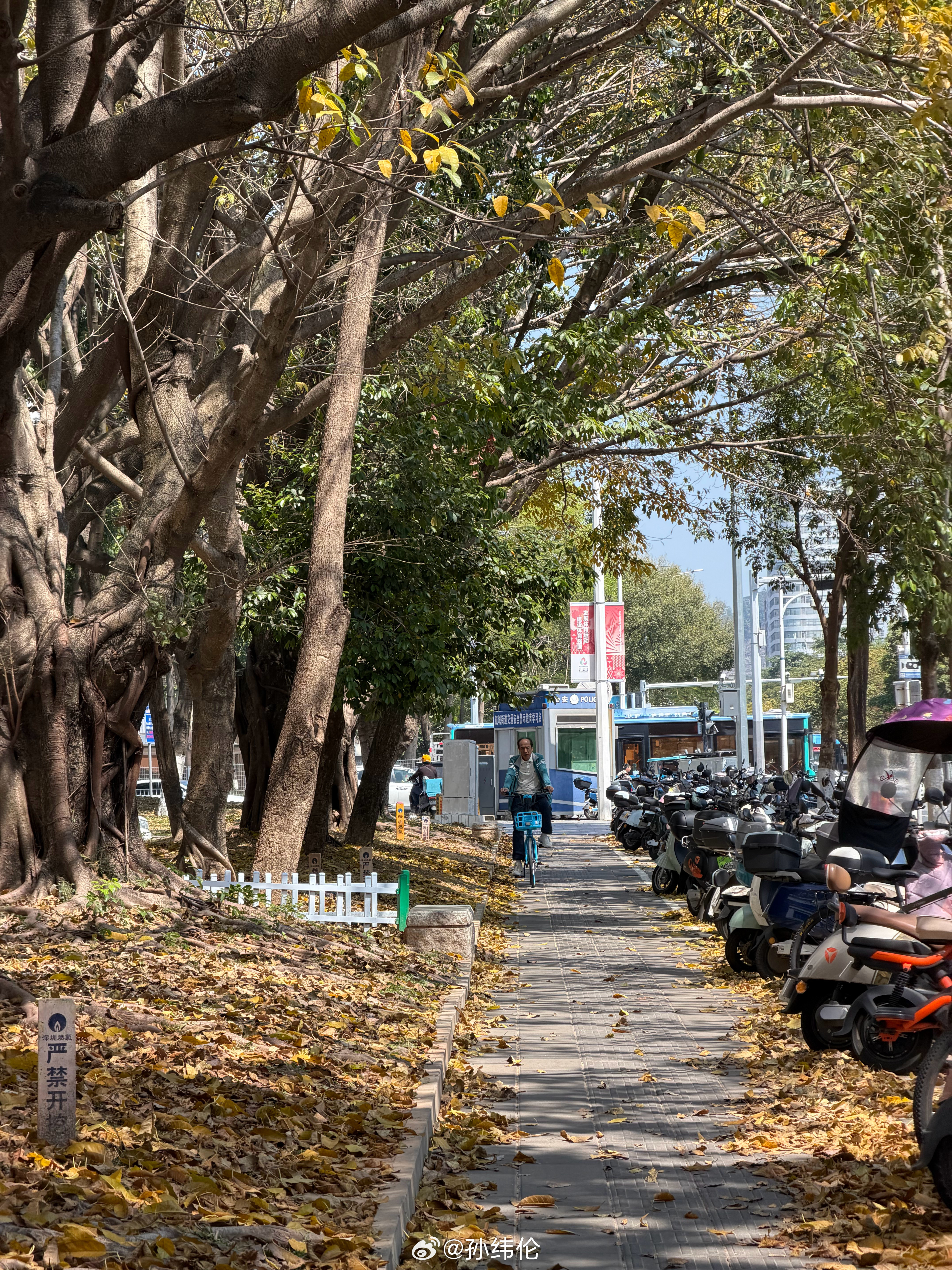 深圳的春夏秋冬是混着过的但总觉得很舒服深圳·壹方中心