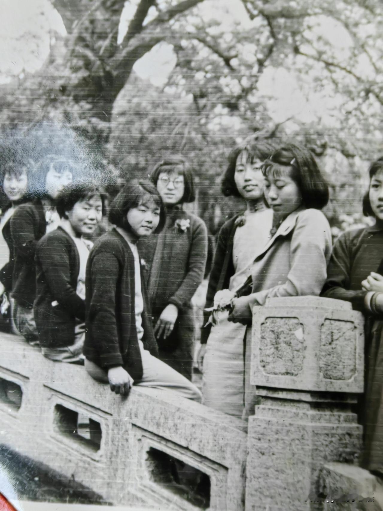 1931上海女大学生｜这才是民国最美的样子🌿刷到一组1931年上海女大学生