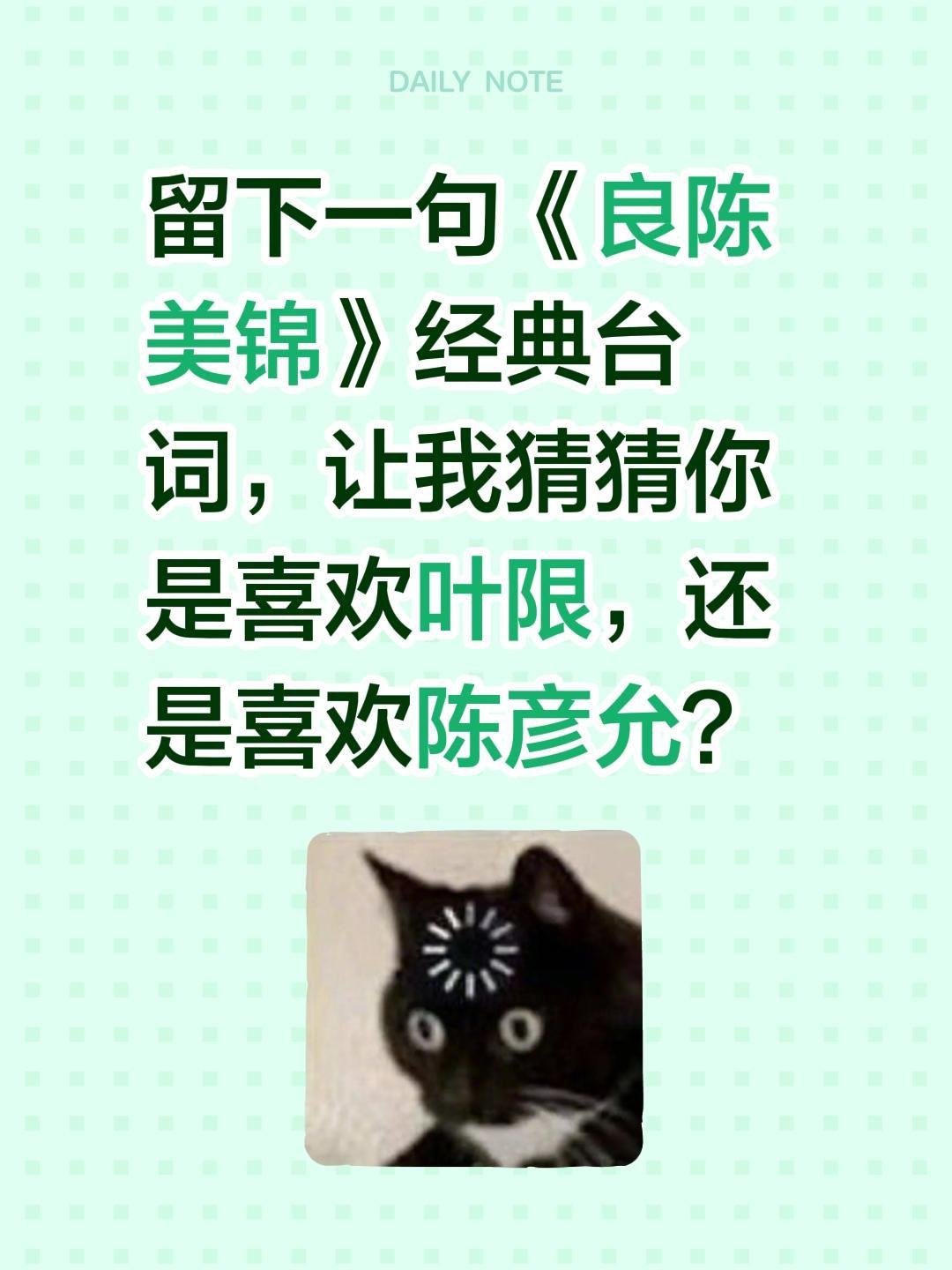留下一句《良陈美锦》经典台词，让我猜猜你是喜欢叶限，还是喜欢陈彦允？良陈美锦任