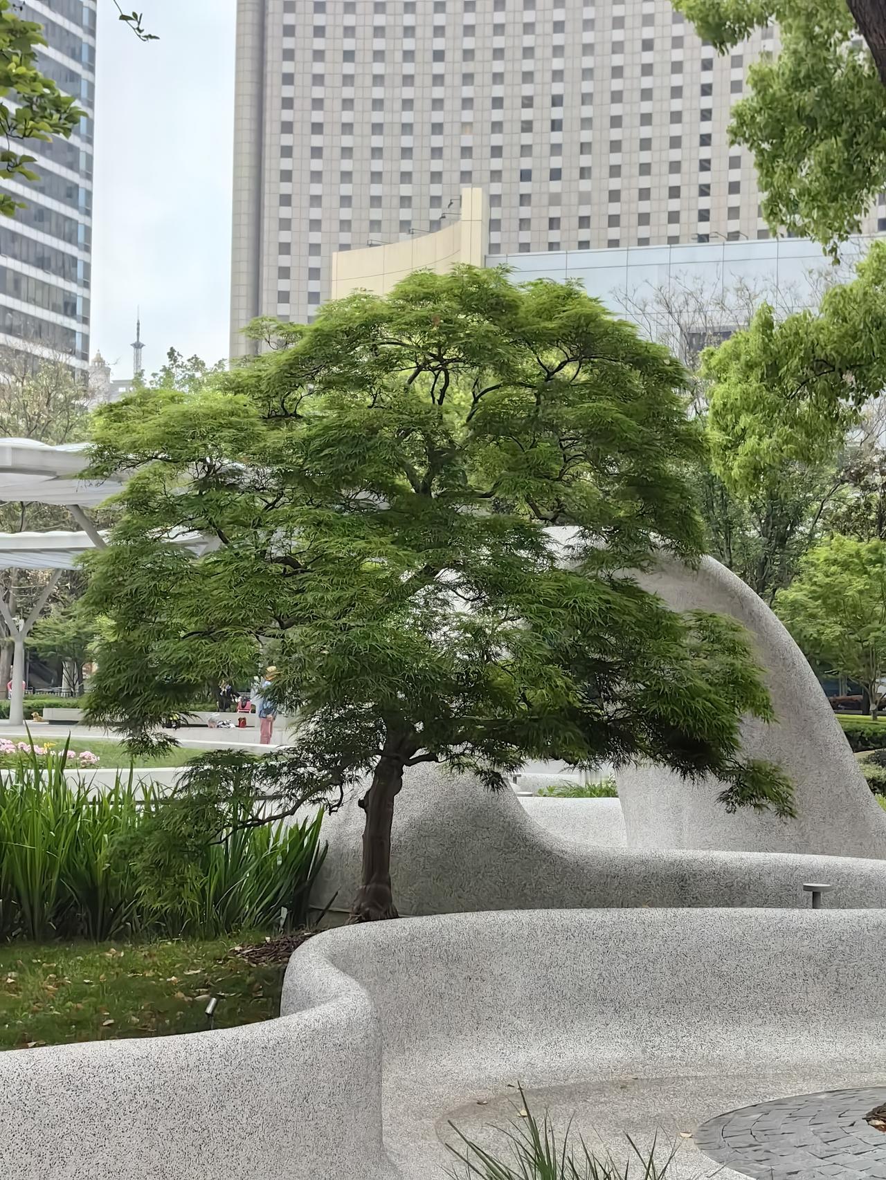 很多人觉得换手率和量比是一回事，其实大错特错。换手率是绝对比率，反映的是股票在一