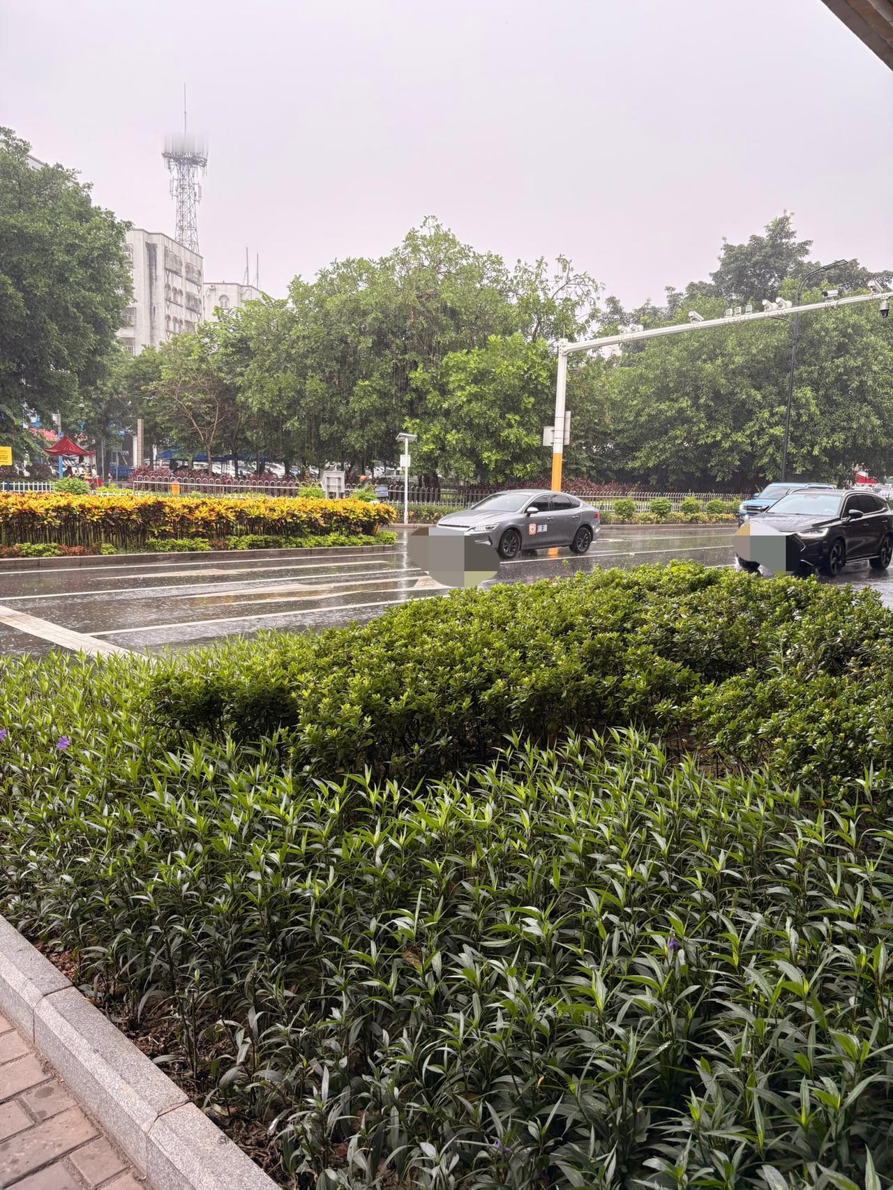 今天在桥下面躲雨，观察了一下穿梭的汽车，应该观察了一百辆左右，其中30万元