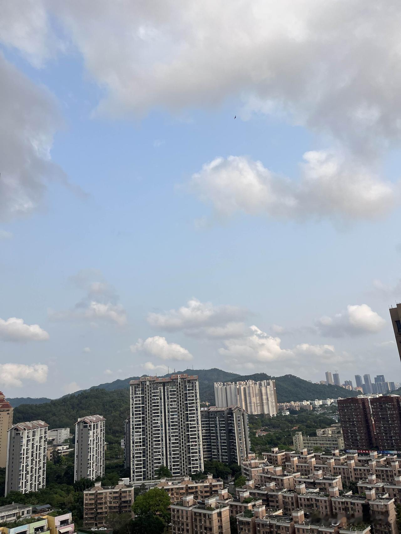 资治通鉴：无论是任何人，你都不要随意亮底牌，永远记住是任何人，否则你会输