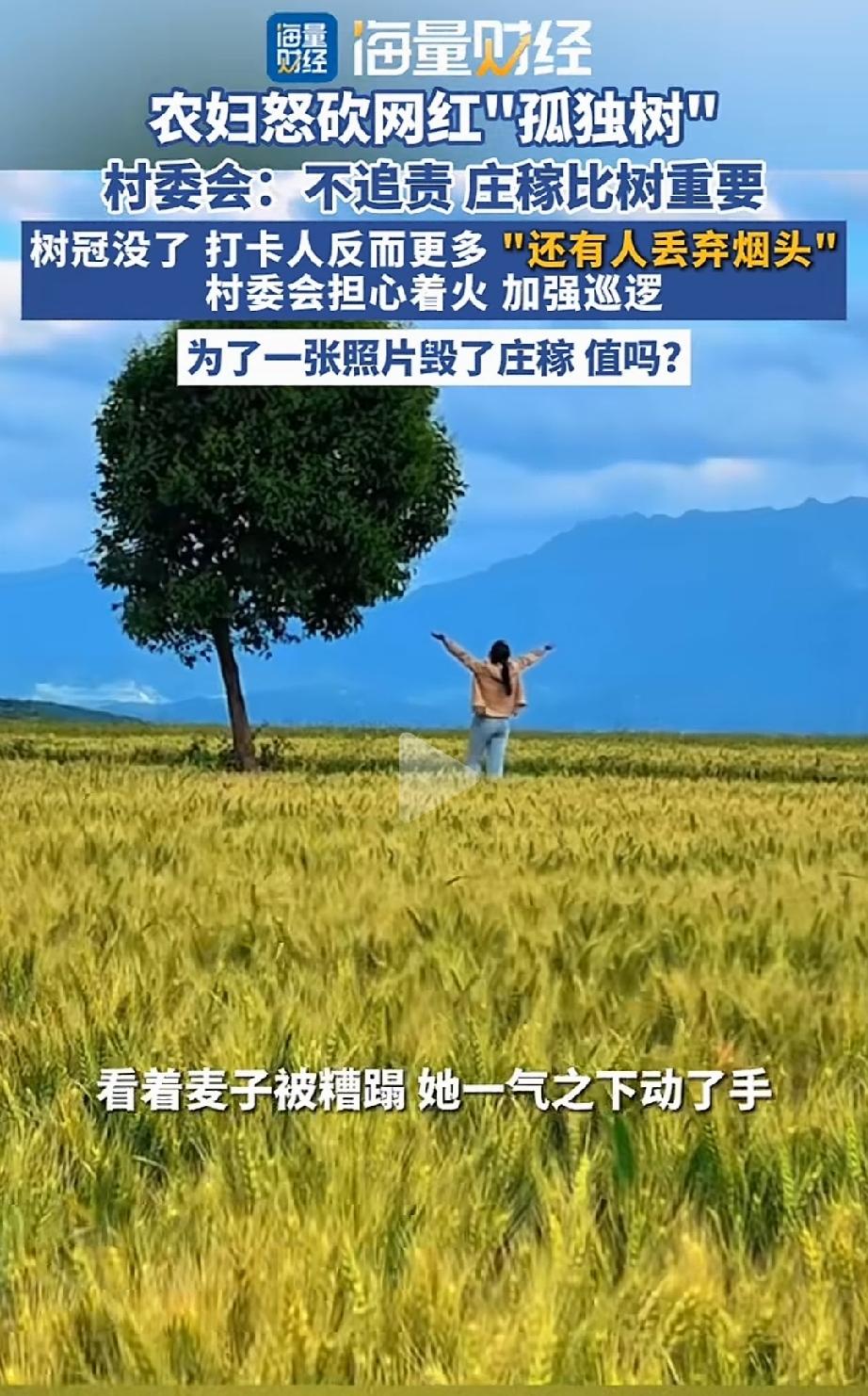 真的值得吗？陕西西安，一棵网红树突然火遍全网，谁也没想到，被受人追捧的“孤独树”
