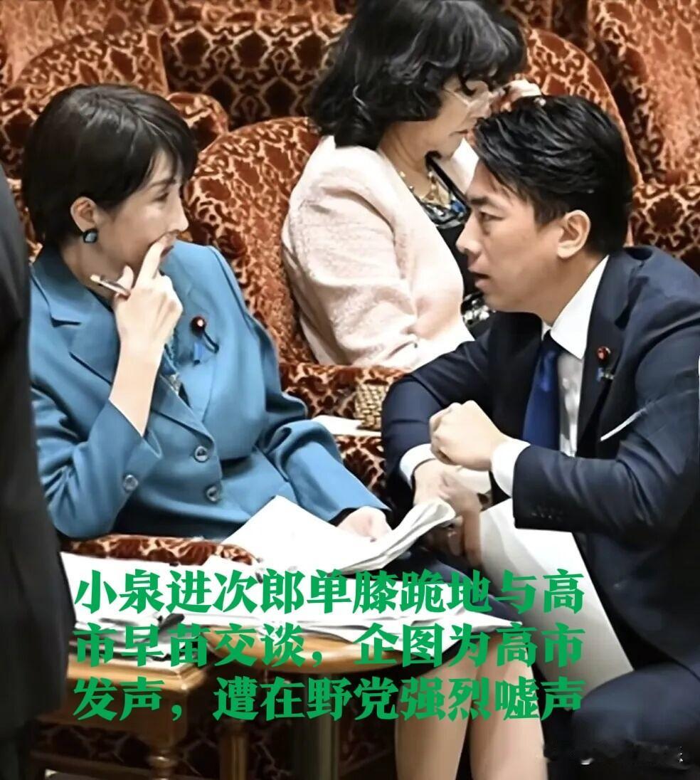 ‌小泉进次郎单膝跪地替高市早苗解围在野党嘘声抗议涉台言论争议‌据外媒