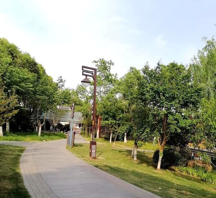 中午在单位吃饭时，和同事聊天得知，他孩子今年985毕业硕士，签了一个重点中学，去