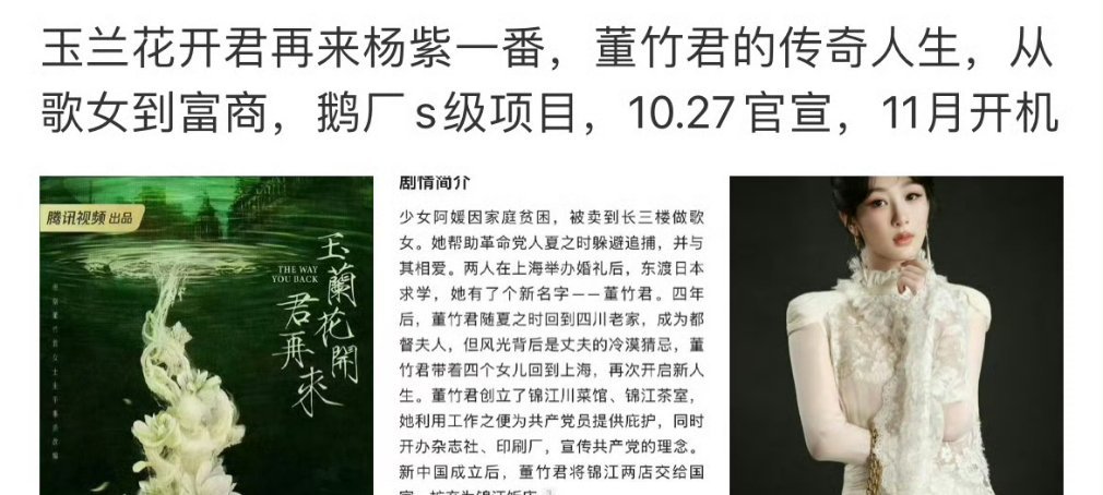 杨紫新饼玉兰花开君再来题材简介,网传即将官宣杨紫玉兰花开君再来将官