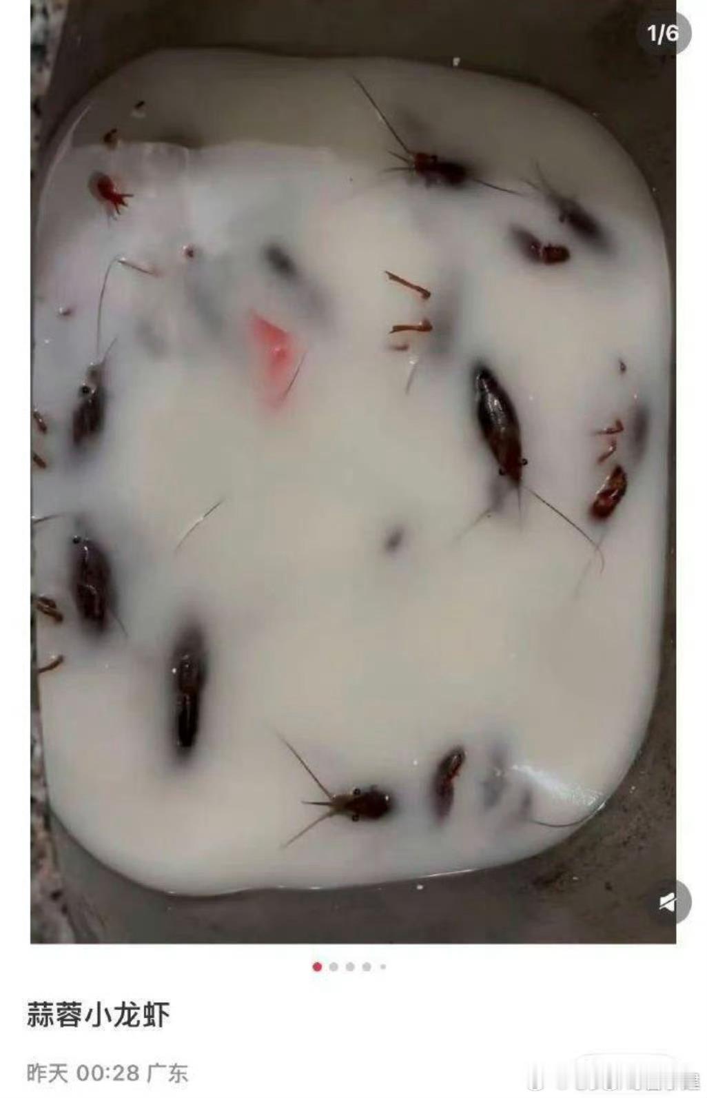 广东特产，晚饭愉快