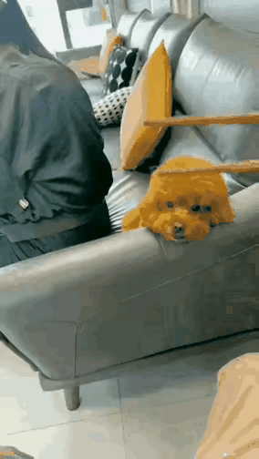 汪星人:你懂得。