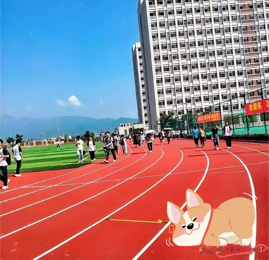 国家早该出手了普高扩招，所有的家长终于不用再为孩子中考彻夜难眠了。现中央