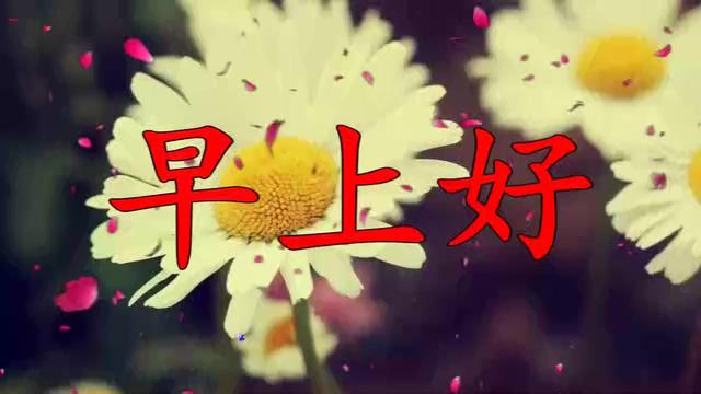 想着你睡不着简谱_想着你睡不着的图片(2)