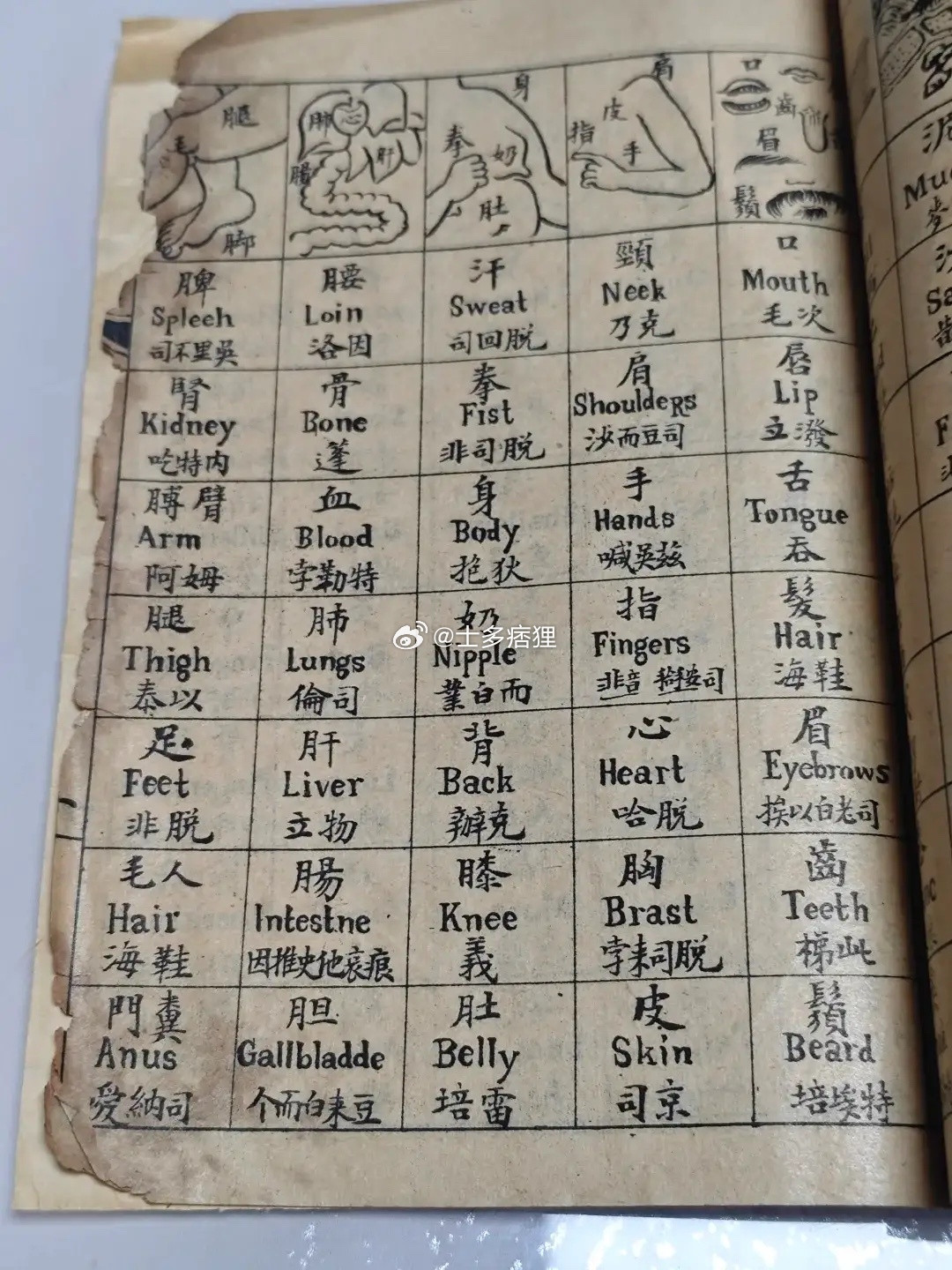 清朝原来是这样学英语的......