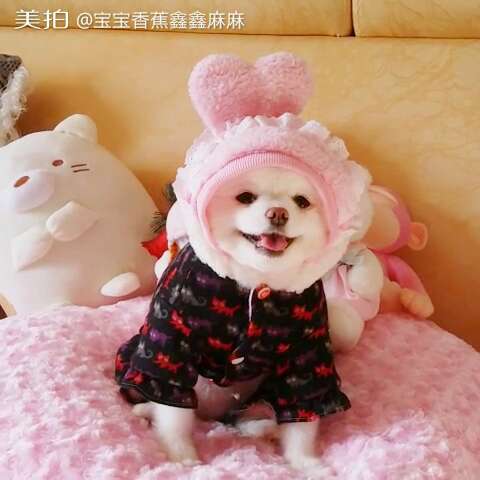 16468115936947485484.jpg?id=0