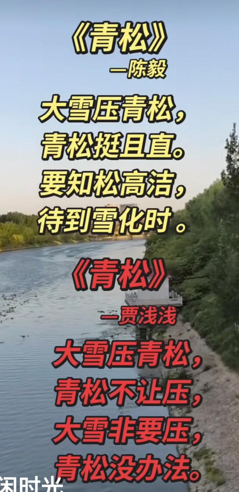 《青松》--贾浅浅大雪压青松，青松不让压，大雪非要压，青松没办法。点评