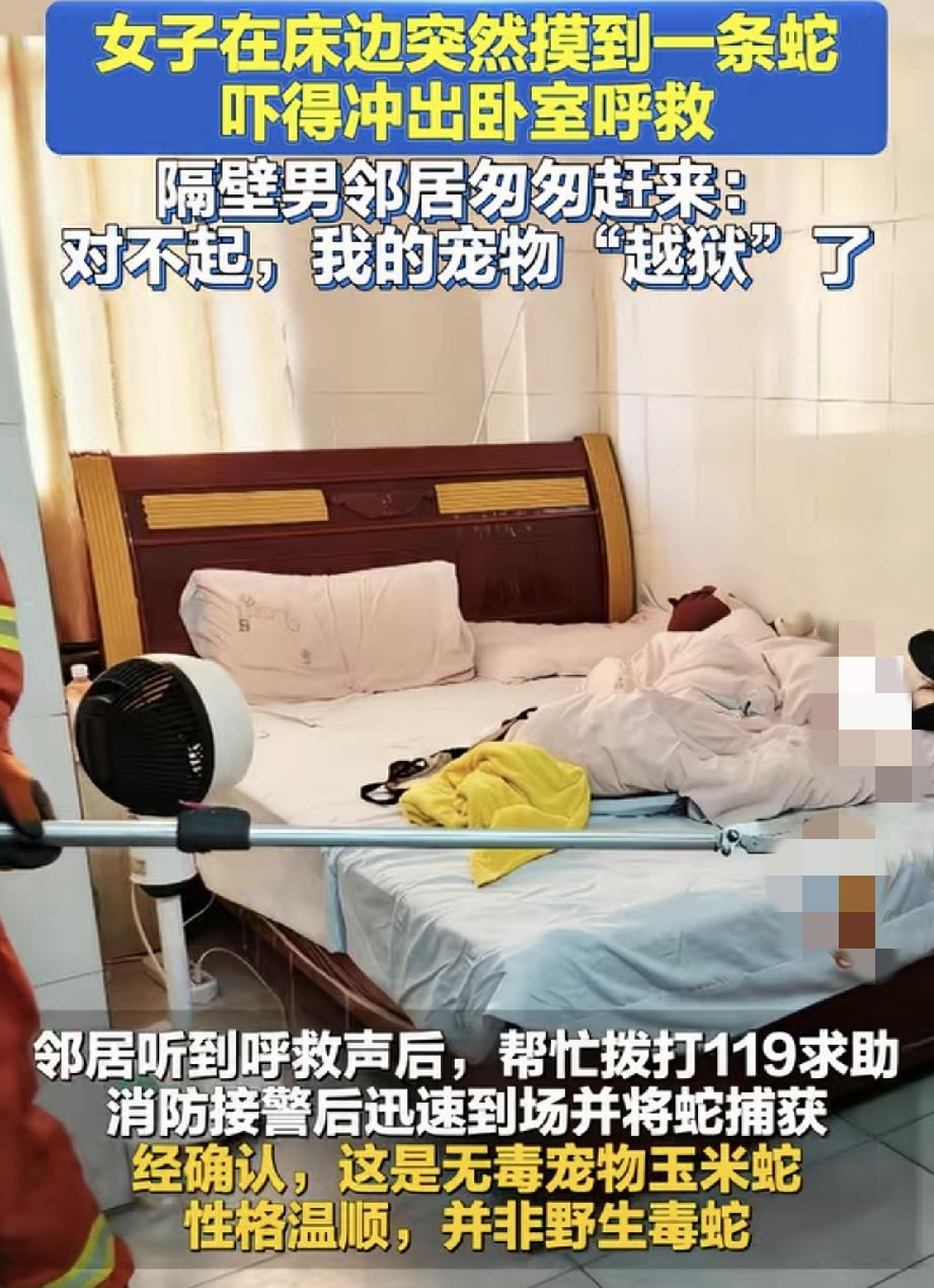 太吓人了！广东东莞，一女子在自家卧室整理物品，可当其随手伸进床边一背包时，竟摸到