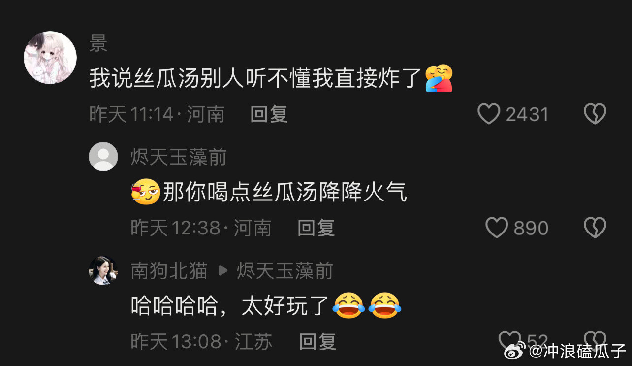丝瓜汤的风还是吹到了外国一代人有一代人的梗！！我是跟不上了，听不到[捂脸哭]​​