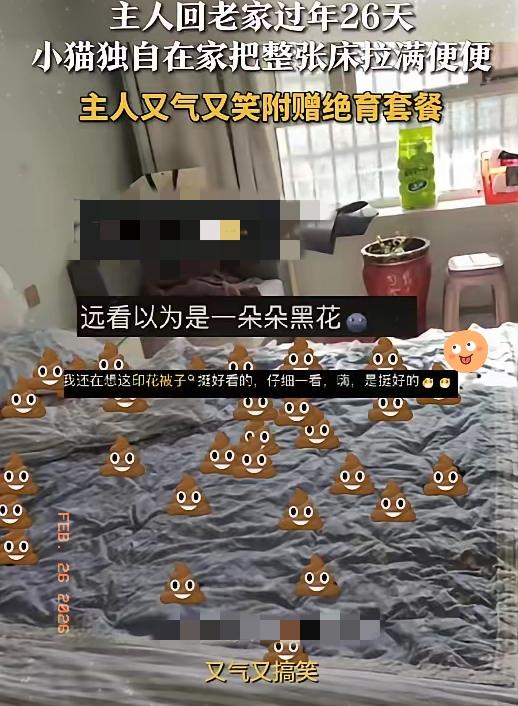 小猫守家26天在主人床上拉满便便小猫留守26天主人回来气笑了近日，新疆和田，