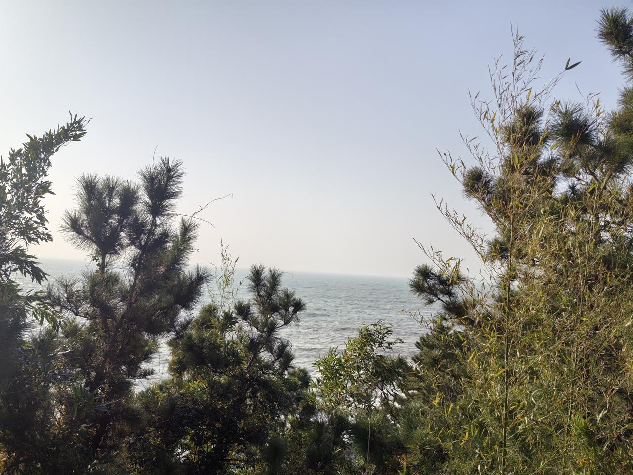 儿媳妇说从心眼里不想和婆婆搭话。网友说是她捂不热的石头，身在福中不知福。有网