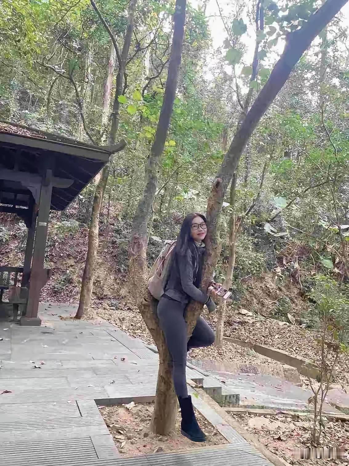 这树，能长大得有女人味