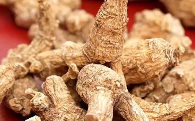 每天一杯西洋参泡水喝, 能给身体带来什么变化? 后悔现在才知道