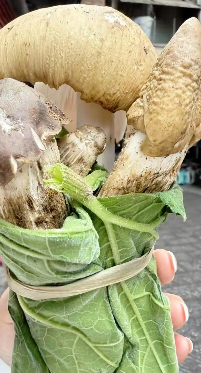各位老铁，这个你们怎么称呼？你们是如何做才好吃？