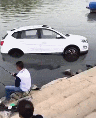 爆笑GIF: 妹子, 没事逗猪干嘛呢?