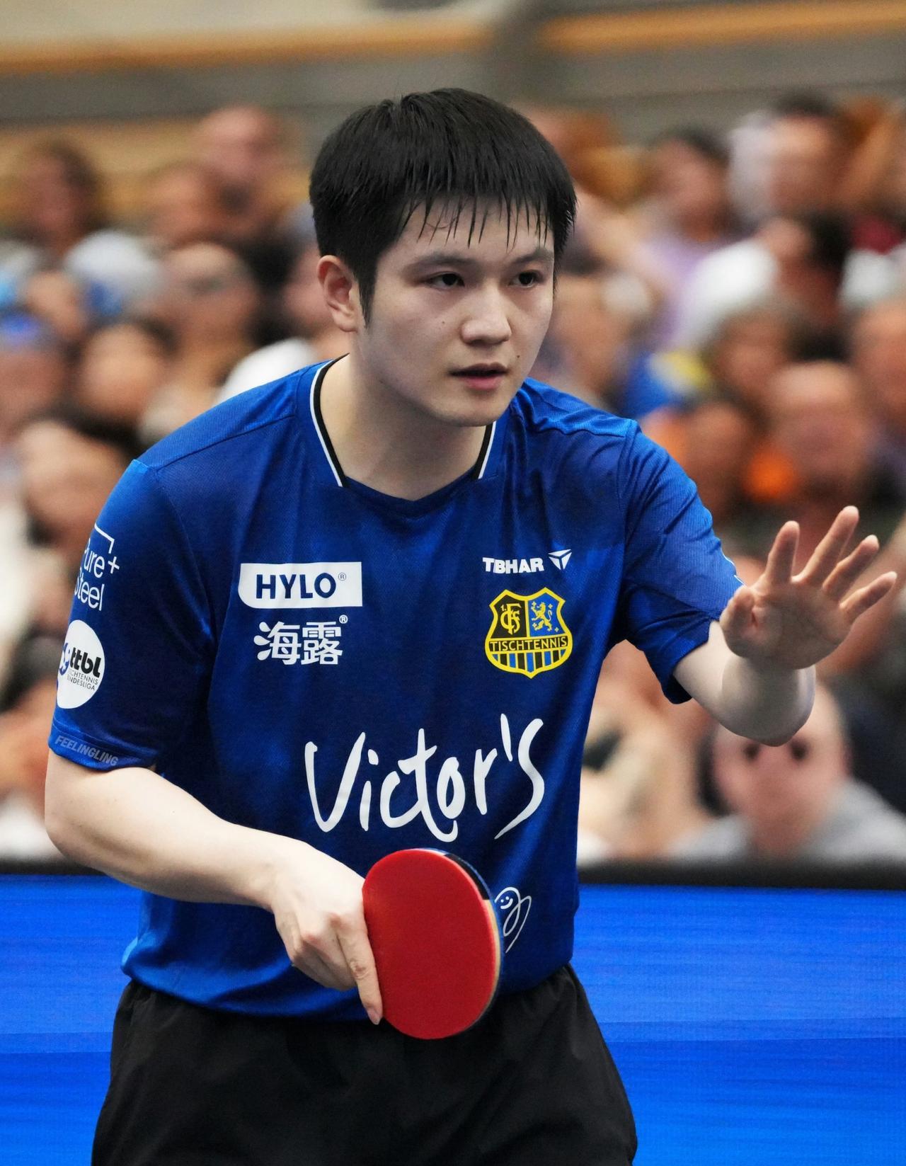 樊振东明年还会跟萨尔布吕肯俱乐部续约吗？樊振东在德甲签订的合同到期日是2026