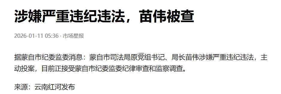 蒙自市是一个县级市，苗伟以前是司法局原局长，只是一个正科级干部；他投案不要说大老
