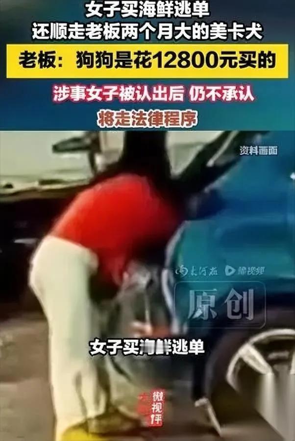 秦皇岛这事太刷新三观敢光天化日拿人一万两千多的幼犬跑路？车主万先生怕