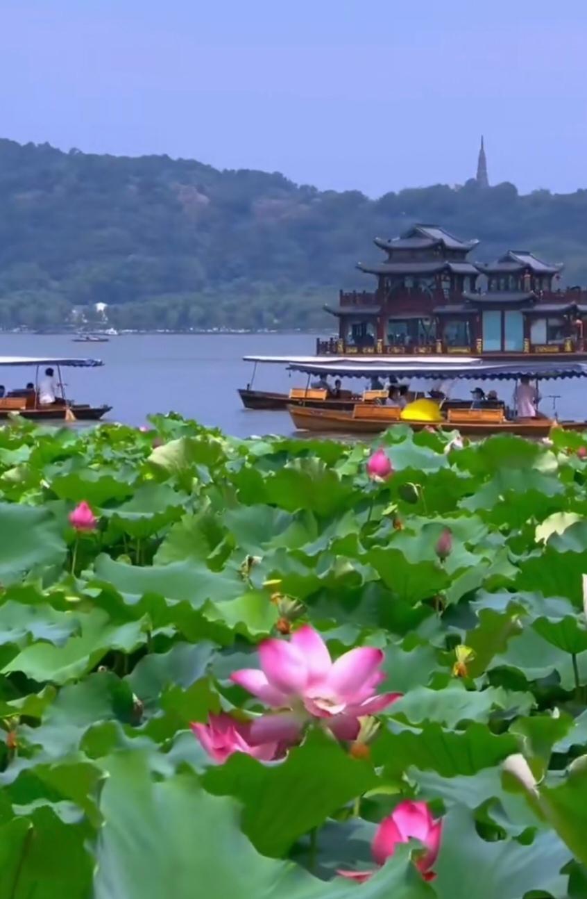 上联：夜色朦胧花影动，诚邀下联水光潋滟湖色明
