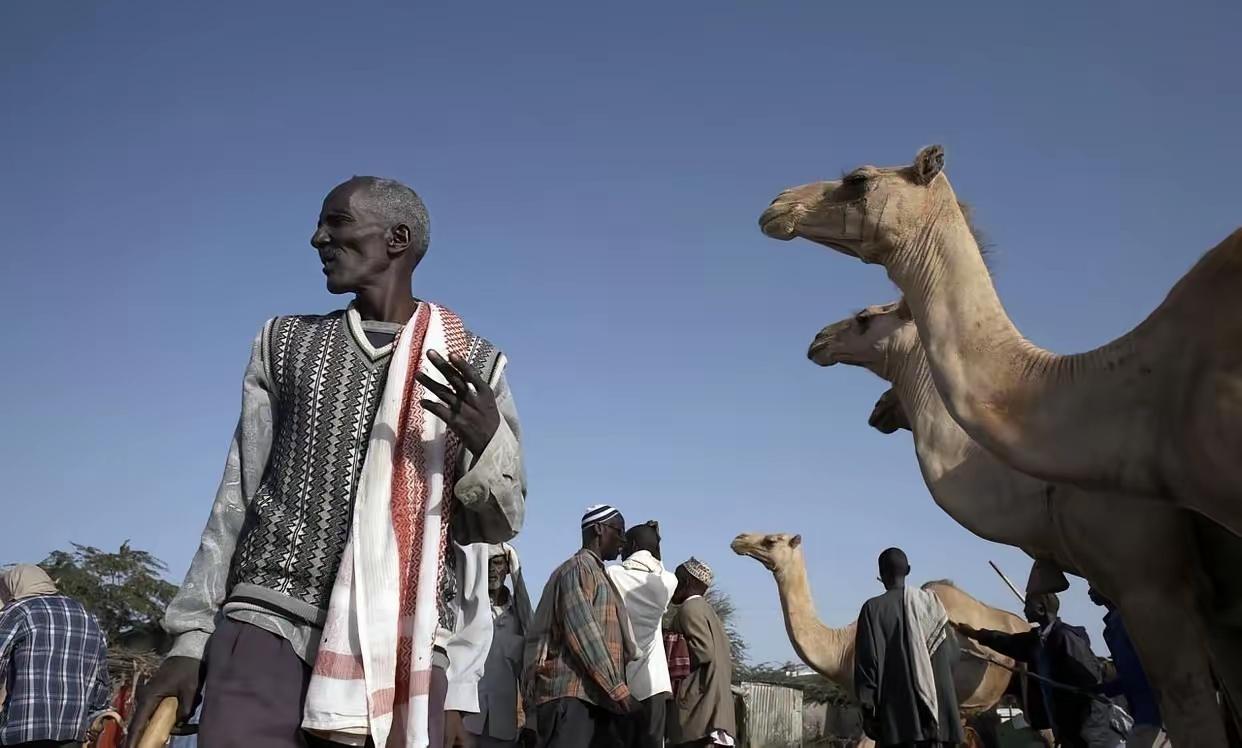 1978年，索马里沙漠一个13岁女孩被父亲以5头骆驼卖给60岁老人，当她