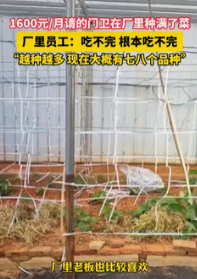 这钱花的值！5月30日，江西，一工厂花1千6每月请了个门卫大爷，谁料，大爷在工作