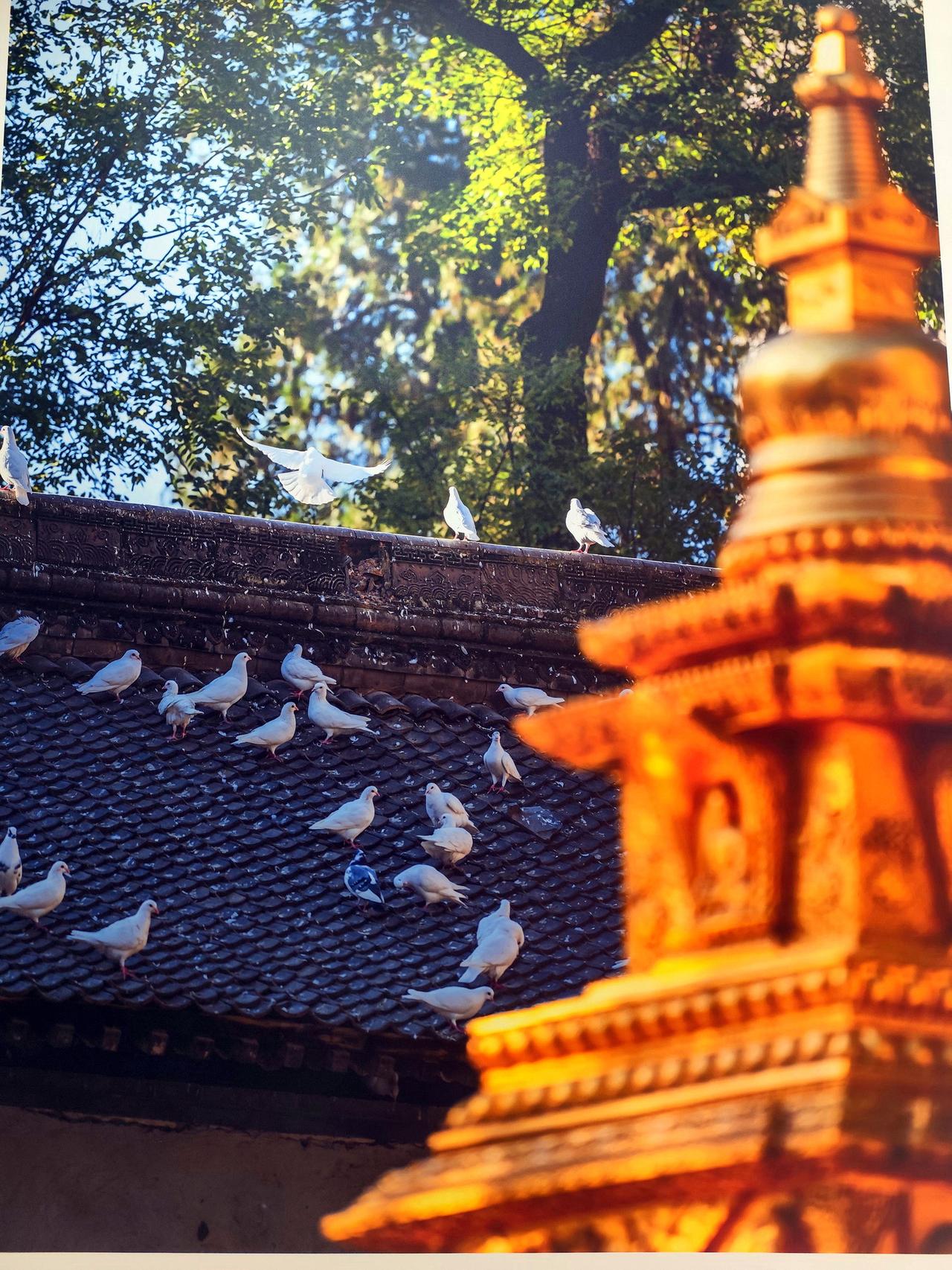 在西安，如果你想用几分钟读懂这座城的古今交融，长安云的「西安城市影像展」千万别错