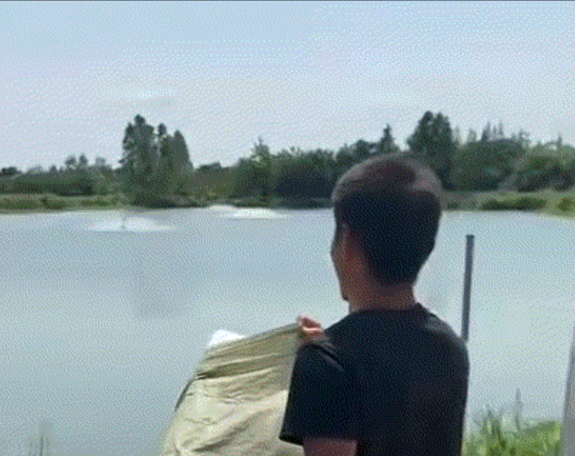 愁坏了。湖南岳阳，一鱼塘塘主发视频称，因近日高温天气，自家鱼塘水温高达到37度，