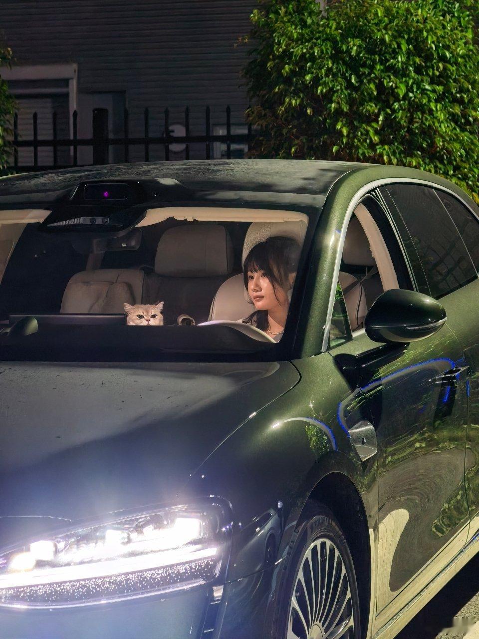 🐱👱♀️文案你们想吧。