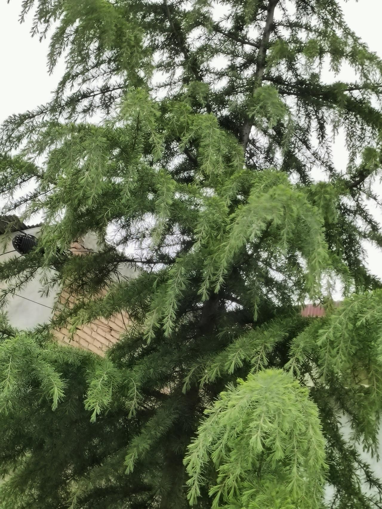 人活着别太较劲，心情好，身体才会真的好人这一辈子，说长不长，说短不短，很多