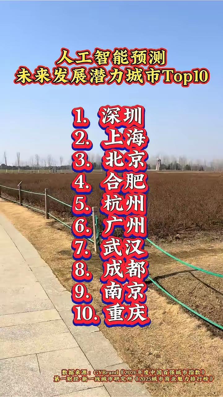 人工智能城市玩人工智能，徐州根本排不进前十。连无锡也不中。可合肥竟排名全国第
