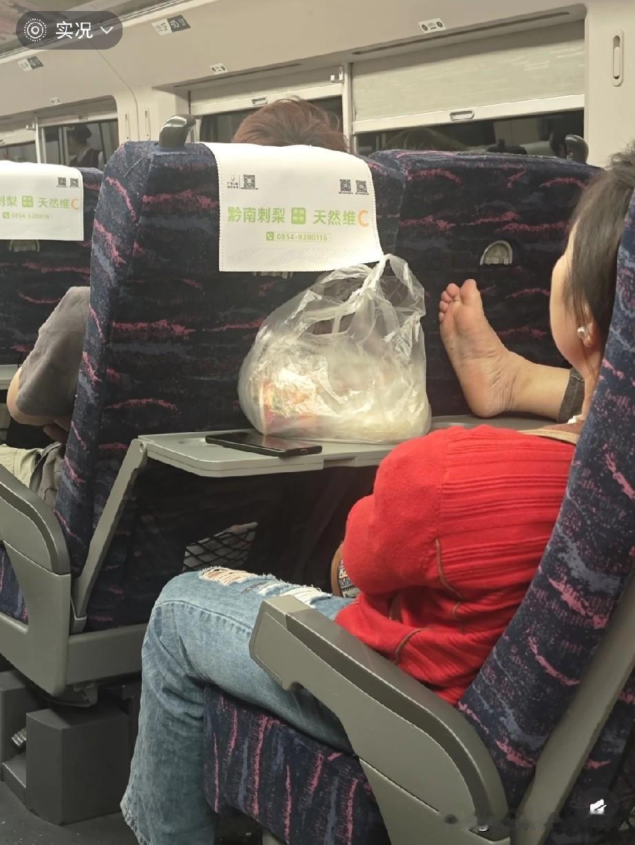 高铁没人去惩罚那只猪蹄（都侮辱了猪蹄）了！坐高铁遇到过这种离谱事吗？一红衣