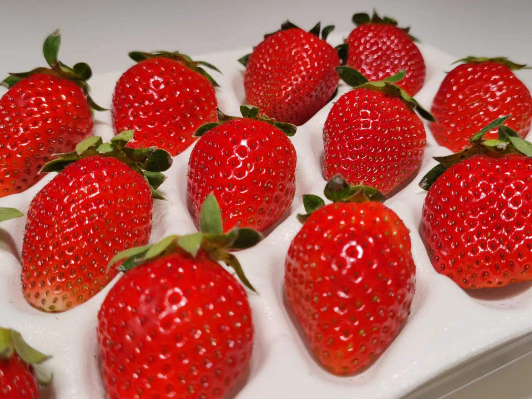 应商家邀请分享一下俺滴“自购款”新年货，这几个是快递停运之前我自己会卡点再下一单