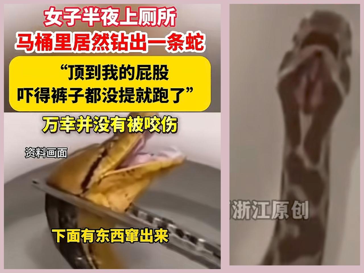 女子半夜坐马桶感觉有冰冷的物体在顶她看清楚后，精神差点崩溃无锡一老旧小区，
