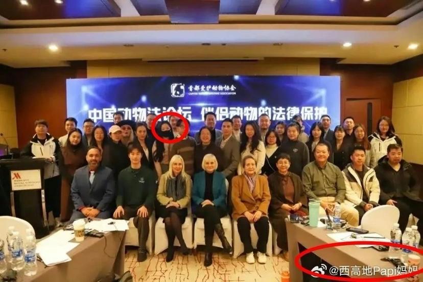 全国仅此一人的北京宠物狗李女士不解行为原来是有组织的狗只是一个动物，但有