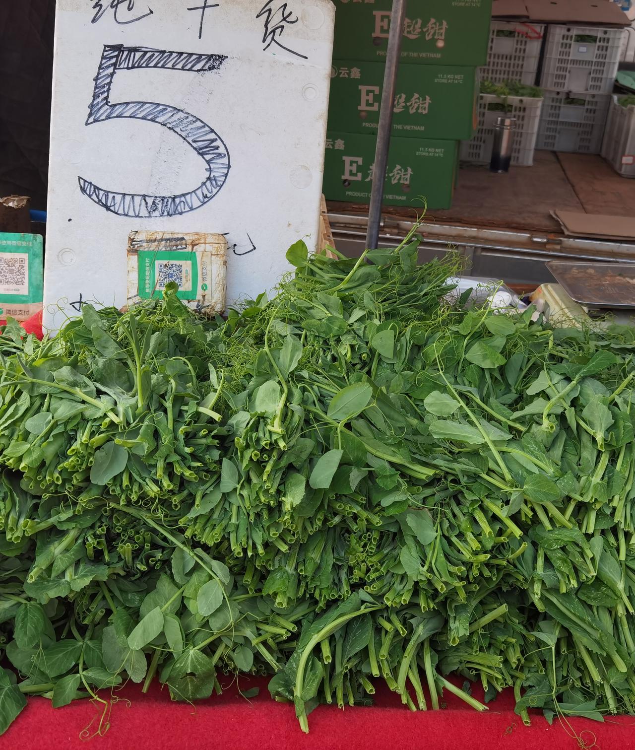 成都菜市场蔬菜降价了民以食为天。菜篮子是老百姓最关心的事情。昨天我到成都