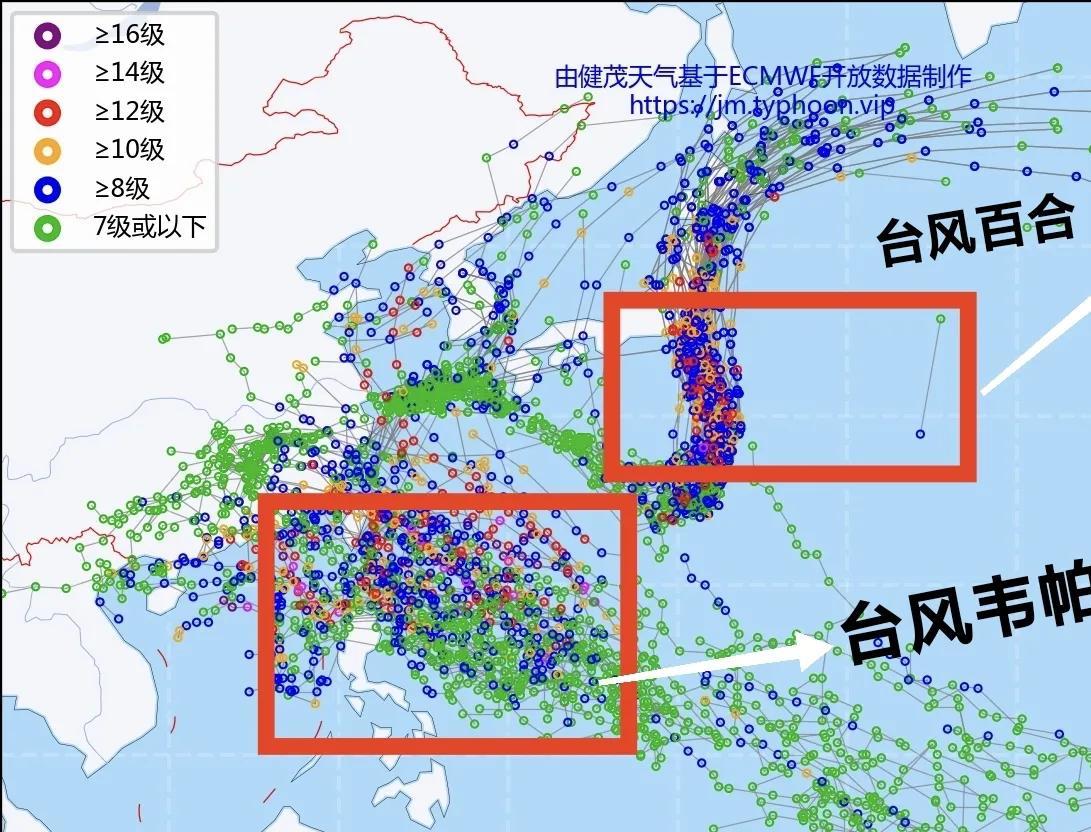 密集台风信号出现下旬有台风要来我国？预报：强台风“韦帕”直逼华东！目前在西太