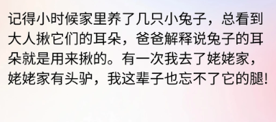 我这辈子也忘不了它的腿