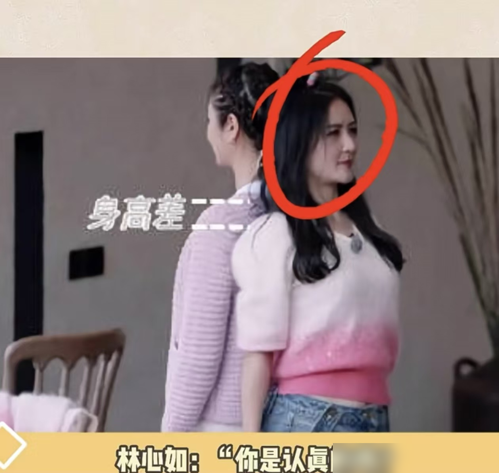 谢娜和林心如当场脱鞋，背靠背比身高，结果惊了。官方数据谢娜166，林心如165，差一厘米，视觉上却像