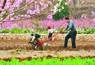 视频文案：从田间到花海科技春耕与春日经济共绘希望田野春回大地，万物复苏