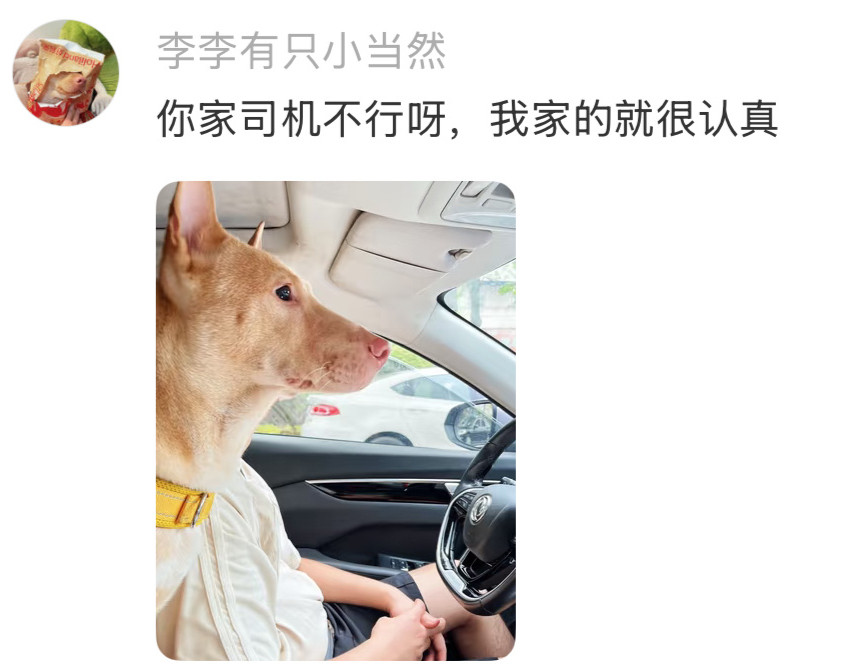 司机开车犯困，要不要叫醒它