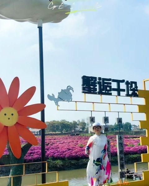 金秋十月，气候开始凉爽了，驱车千垛景区，赏花，品蟹。