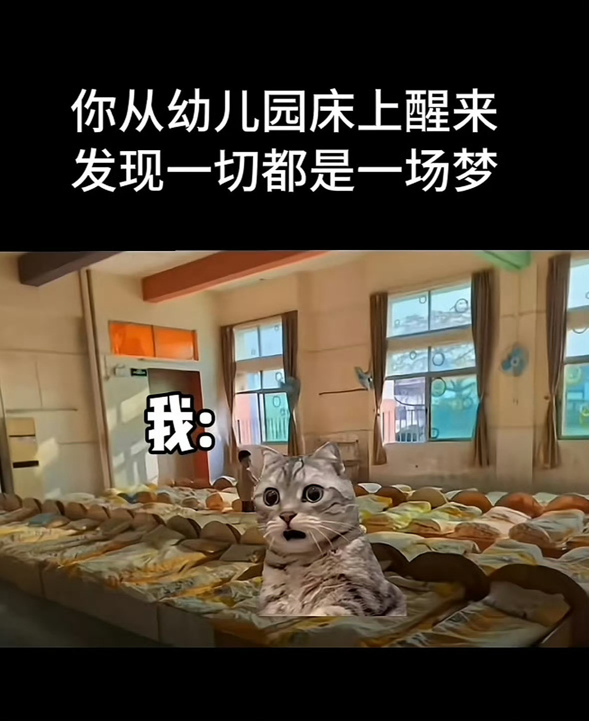 幼儿园：天才，真正的天才小学：神童，风采依旧初中：学识不浅高中：陨落的天才