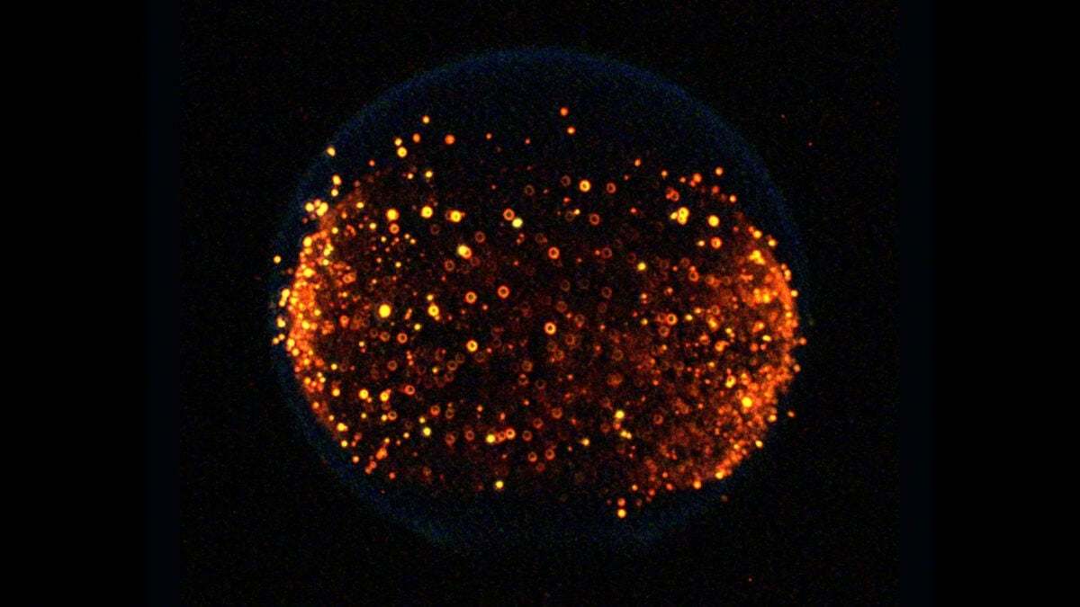 2026年底，NASA要把四小块固体燃料送上月球，一一点燃，看它们烧起来是什么样