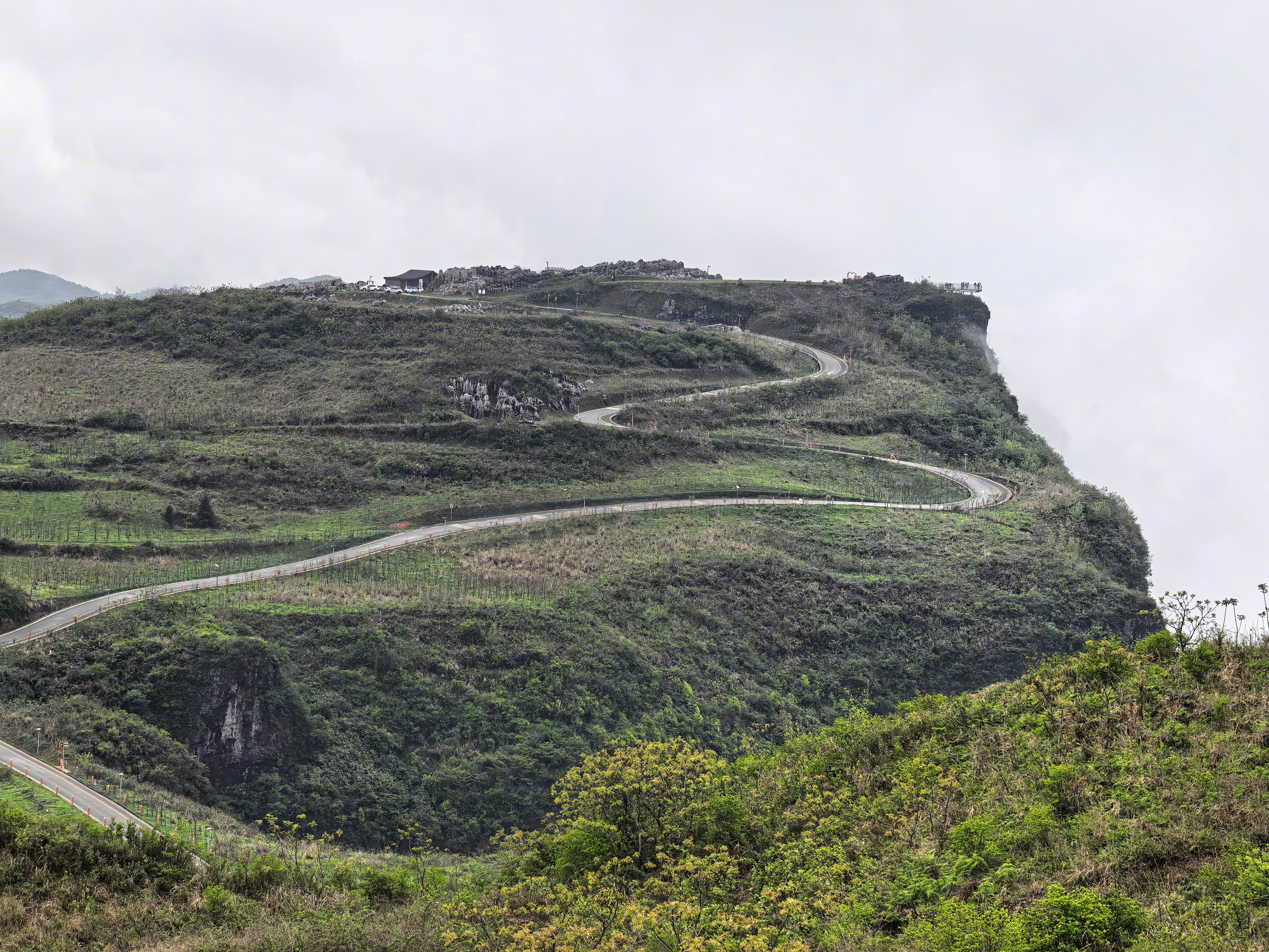 我屋门外景色。